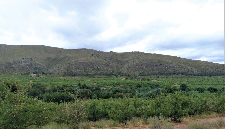 0 Bedroom Property for Sale in Uniondale Rural Western Cape